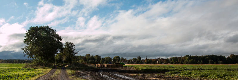 Trees on countryside landscape against cloudy sky