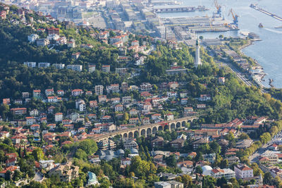 High angle view of trees and buildings in city