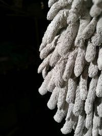 Close-up of rope against black background