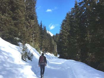 Rear view of man on snowcapped mountain in forest