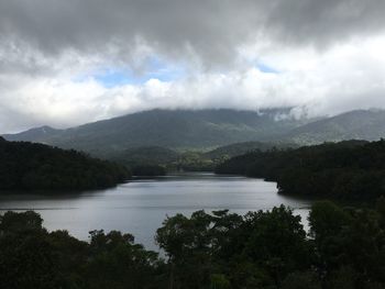 Scenic view of river in forest against sky