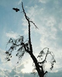 Low angle view of bare tree against cloudy sky