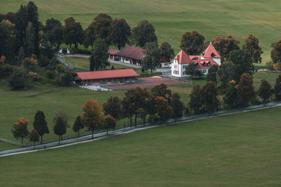 Scenic view of trees on field