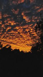 Silhouette trees against sky during sunset