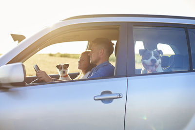 Couple with dogs traveling in car