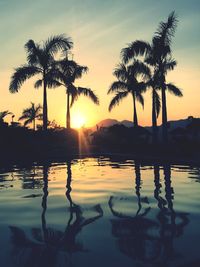 Silhouette of palm trees in lake during sunset