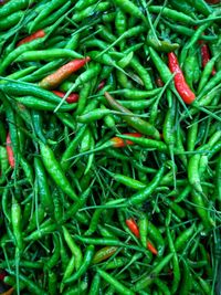 Full frame shot of green chili peppers