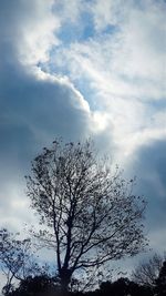 Low angle view of silhouette tree against sky