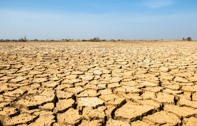 Surface level of barren land against sky