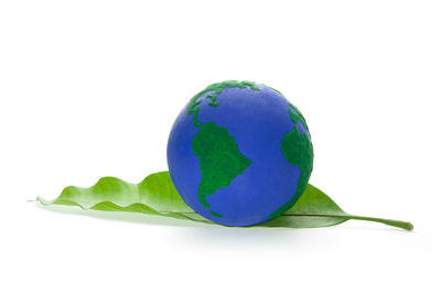 Close-up of green leaf against white background