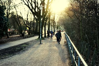 People walking on road along bare trees