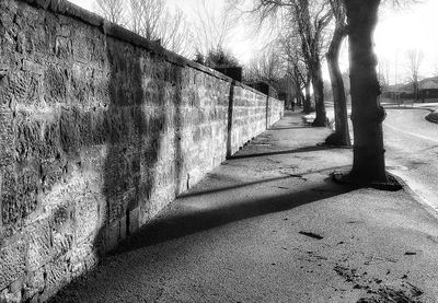 Road passing through forest