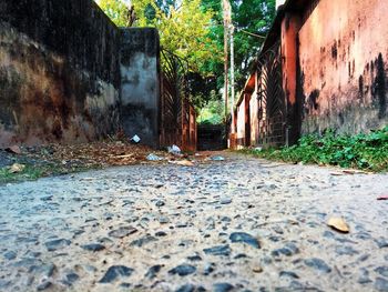 View of abandoned building