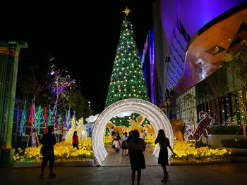 Full length of illuminated christmas tree at night