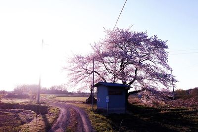 Road passing through field