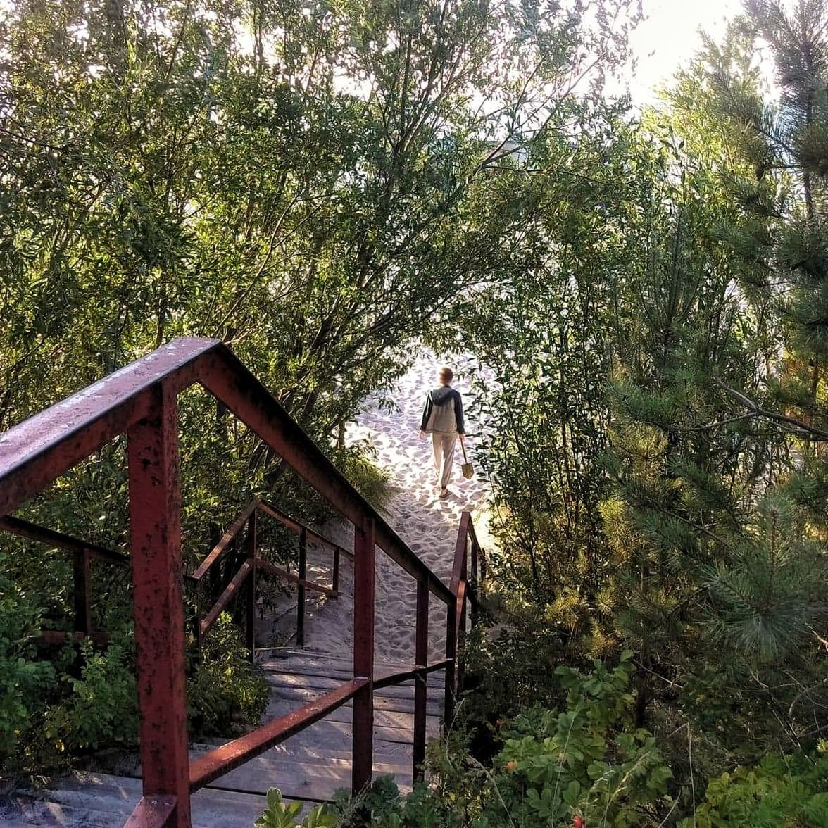 tree, plant, growth, nature, real people, day, architecture, one person, full length, lifestyles, green color, forest, leisure activity, built structure, railing, standing, beauty in nature, tranquility, young adult, outdoors, footbridge