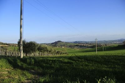 Scenic view of field against clear sky