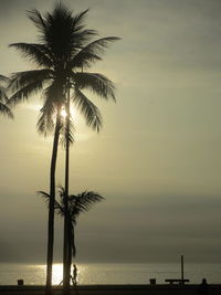 Silhouette palm tree against sea and sky during sunset