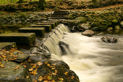 View of waterfall along trees