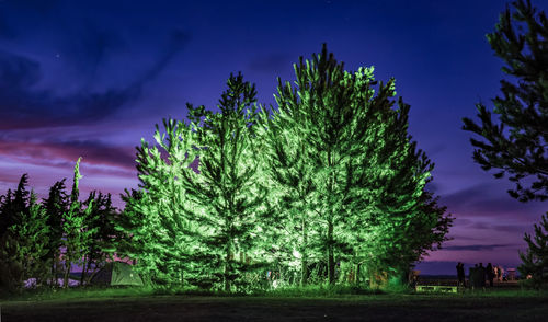 Trees on field against sky