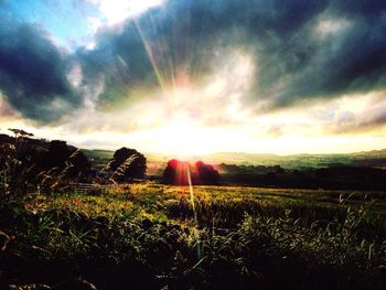 Scenic view of field against sky