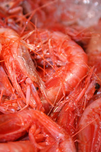 Full frame shot of red chili peppers for sale in market