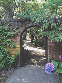 Footpath in park