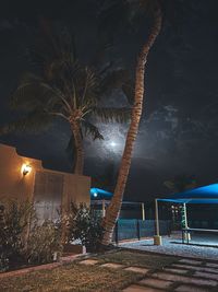 Illuminated street light by tree against sky at night