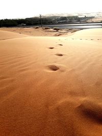 Beach against sky