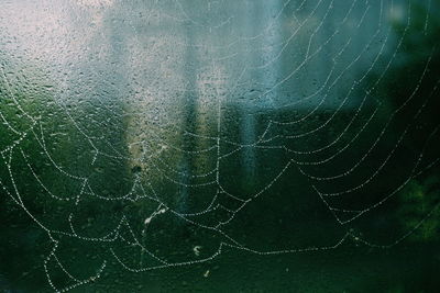 Full frame shot of wet spider web