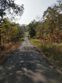 Road amidst trees against clear sky