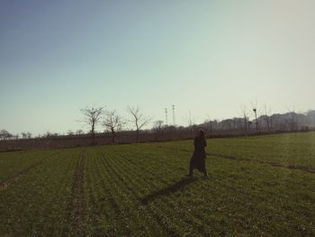 field