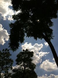 Low angle view of tree against sky