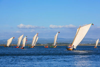 Sailboats in sea against sky