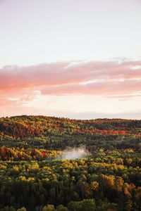 Scenic view of field against sky during sunset