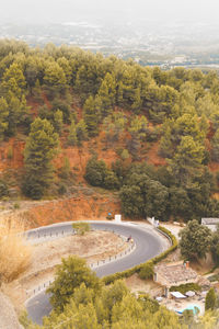 High angle view of trees by plants during autumn