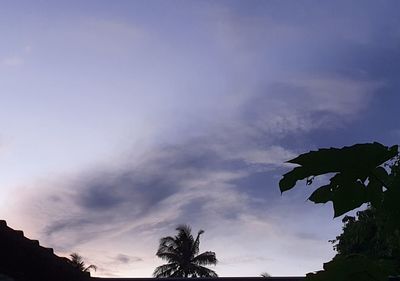 Low angle view of silhouette trees against sky