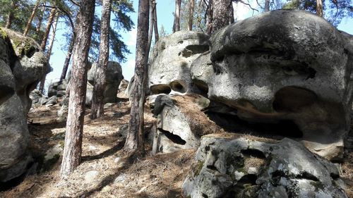 Low angle view of old building