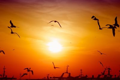 Low angle view of birds flying in sky