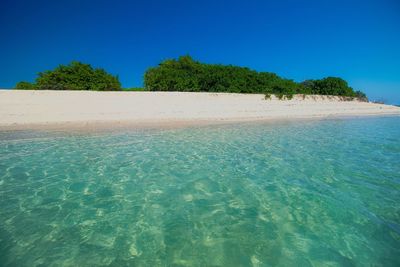 Scenic view of sea against clear blue sky