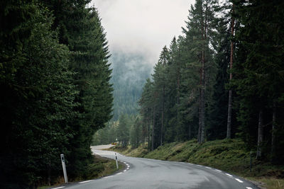 Road amidst trees in forest against sky
