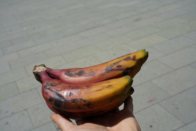 High angle view of person hand holding fruit