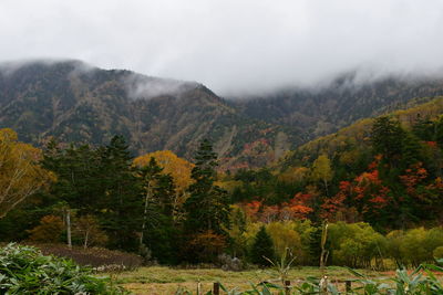 Scenic view of landscape against sky during autumn