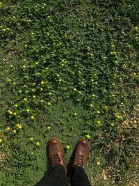 Low section of person standing on field