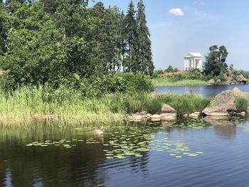 View of birds in lake