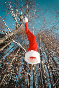 Close-up of snow on bare tree