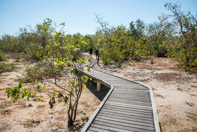 Rear view of boys walking on footpath against plants