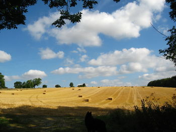 Hay bales on landscape against sky