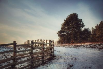 Scenic view of sea against sky during winter