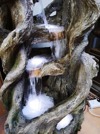 Close-up of icicles on tree trunk during winter